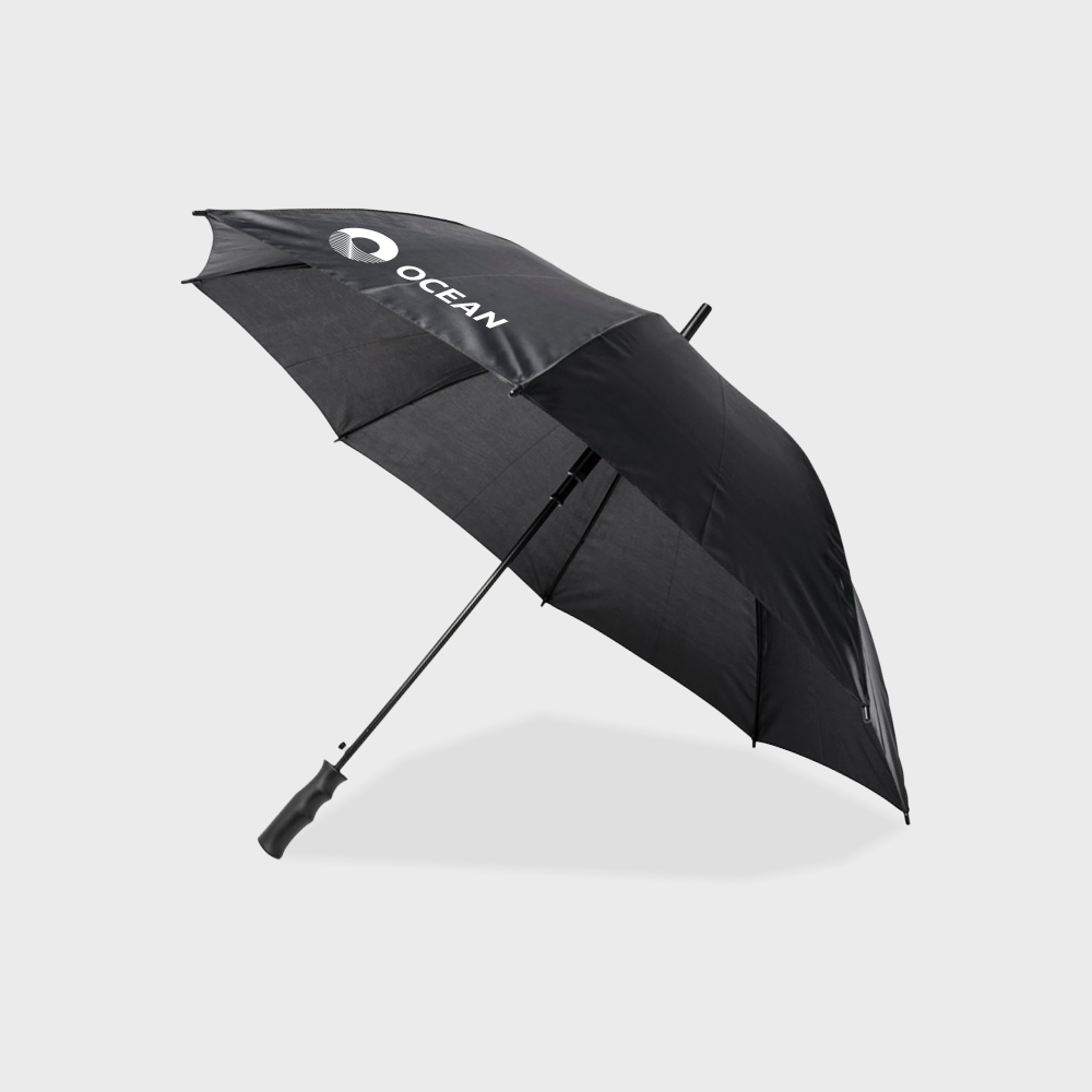 Bella Auto Open Windproof Umbrella