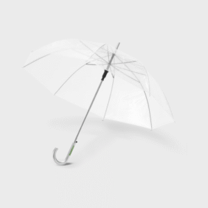 Kate Transparent Auto Open Umbrella