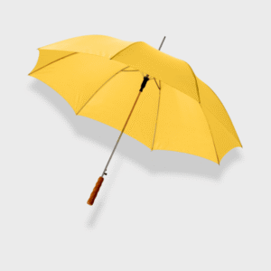 Lisa Auto Open Umbrella