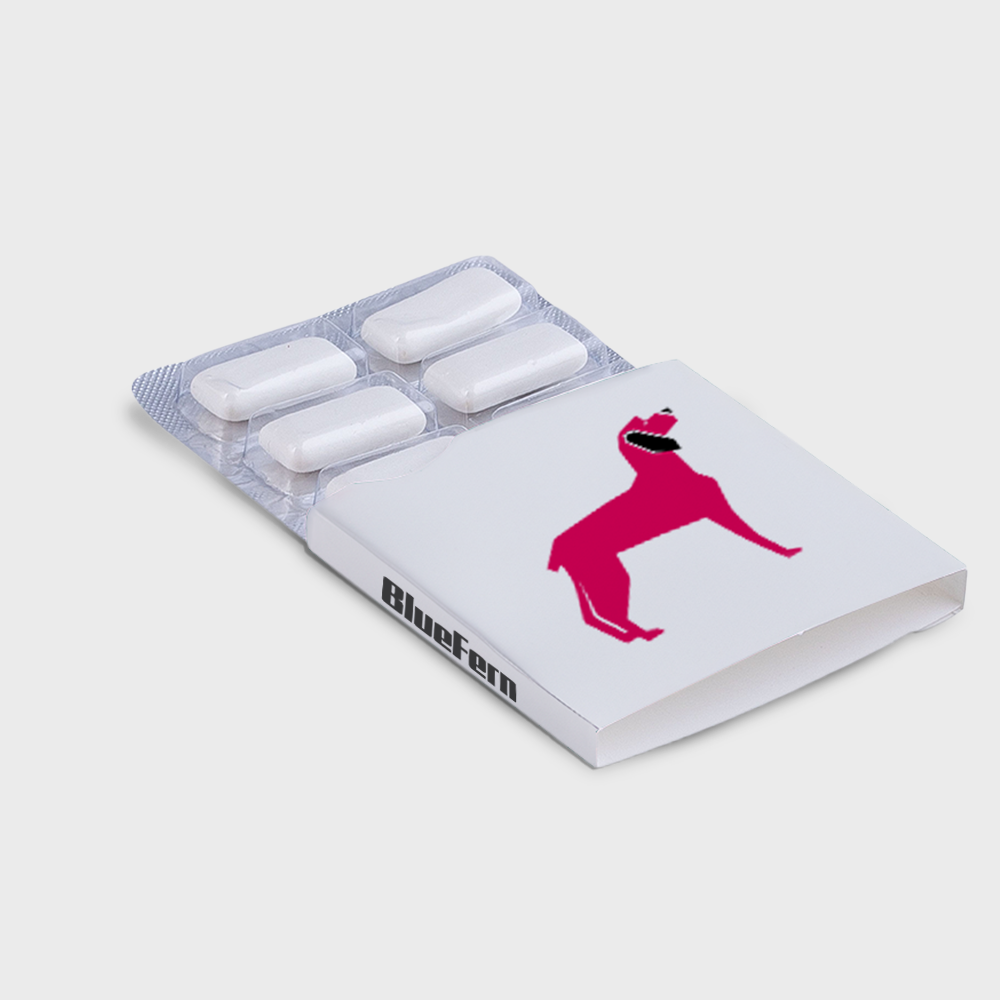 Chewing Gum 6 Pieces