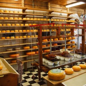 Food Safety in Manufacturing